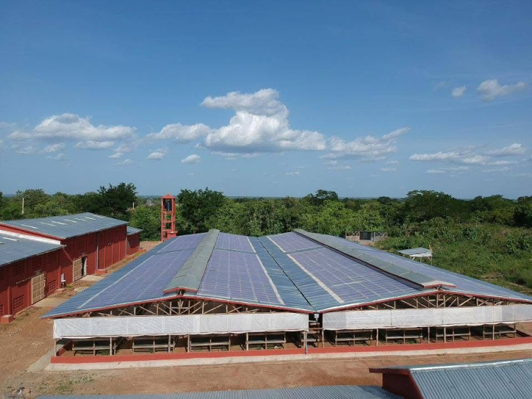 WhatsApp Image 2025-10-17 à 14.03.14_24a885c2