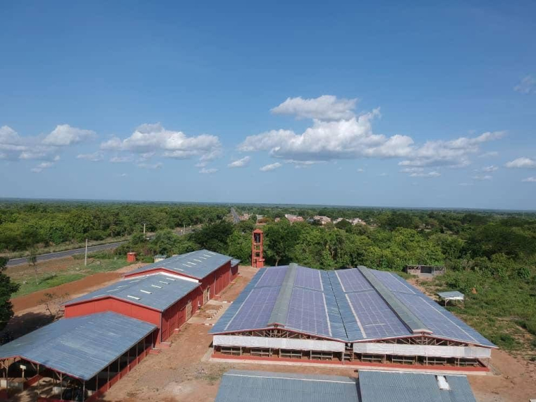 WhatsApp Image 2025-10-17 à 14.03.14_635d7860